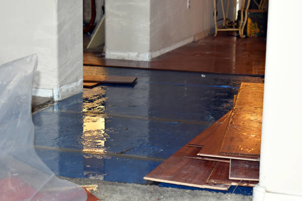 Professional Water Damage Repair technician working in Roebling, NJ